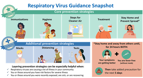 Resp Virus Snapshot image